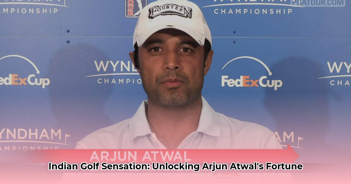 arjun atwal net worth